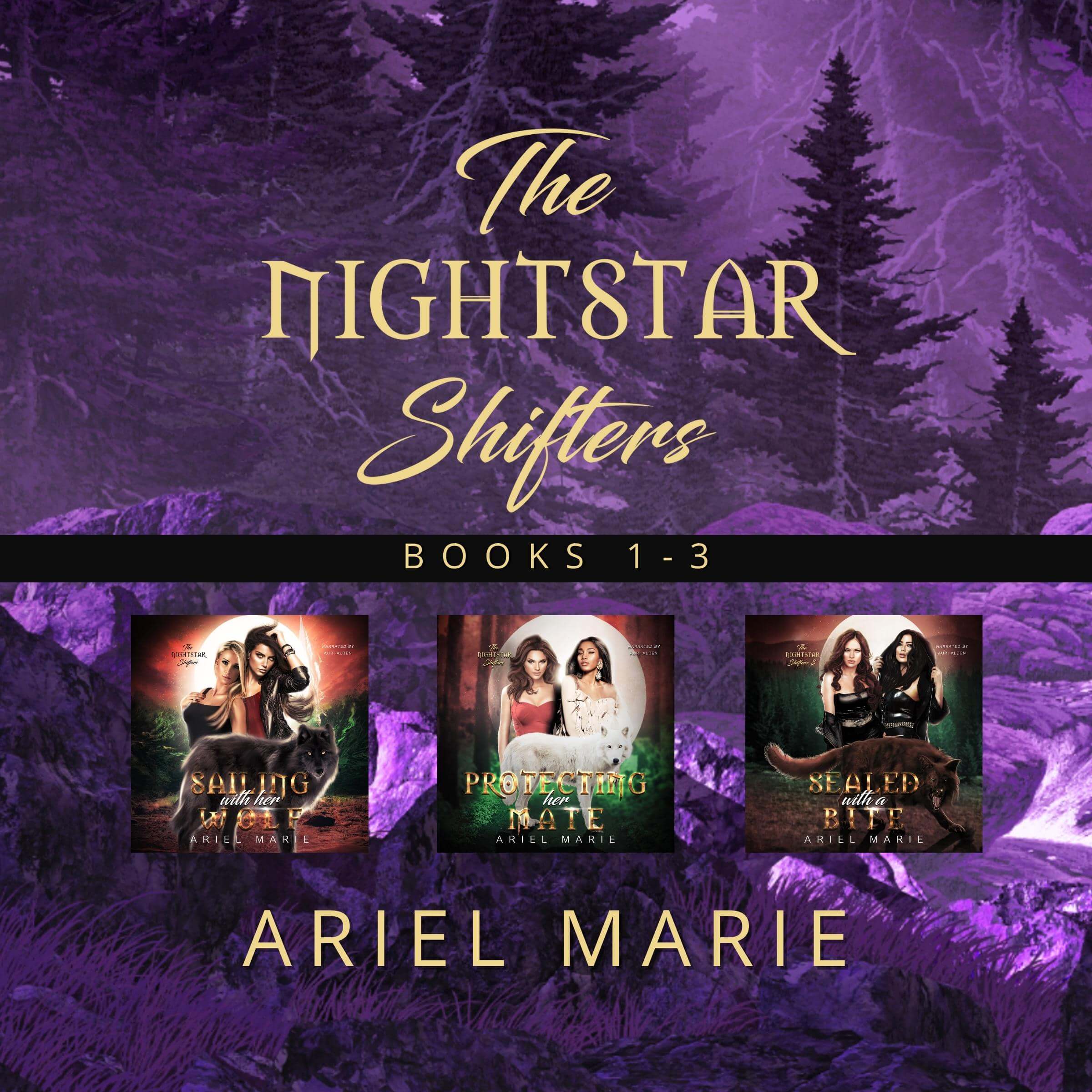 Audiobook sale