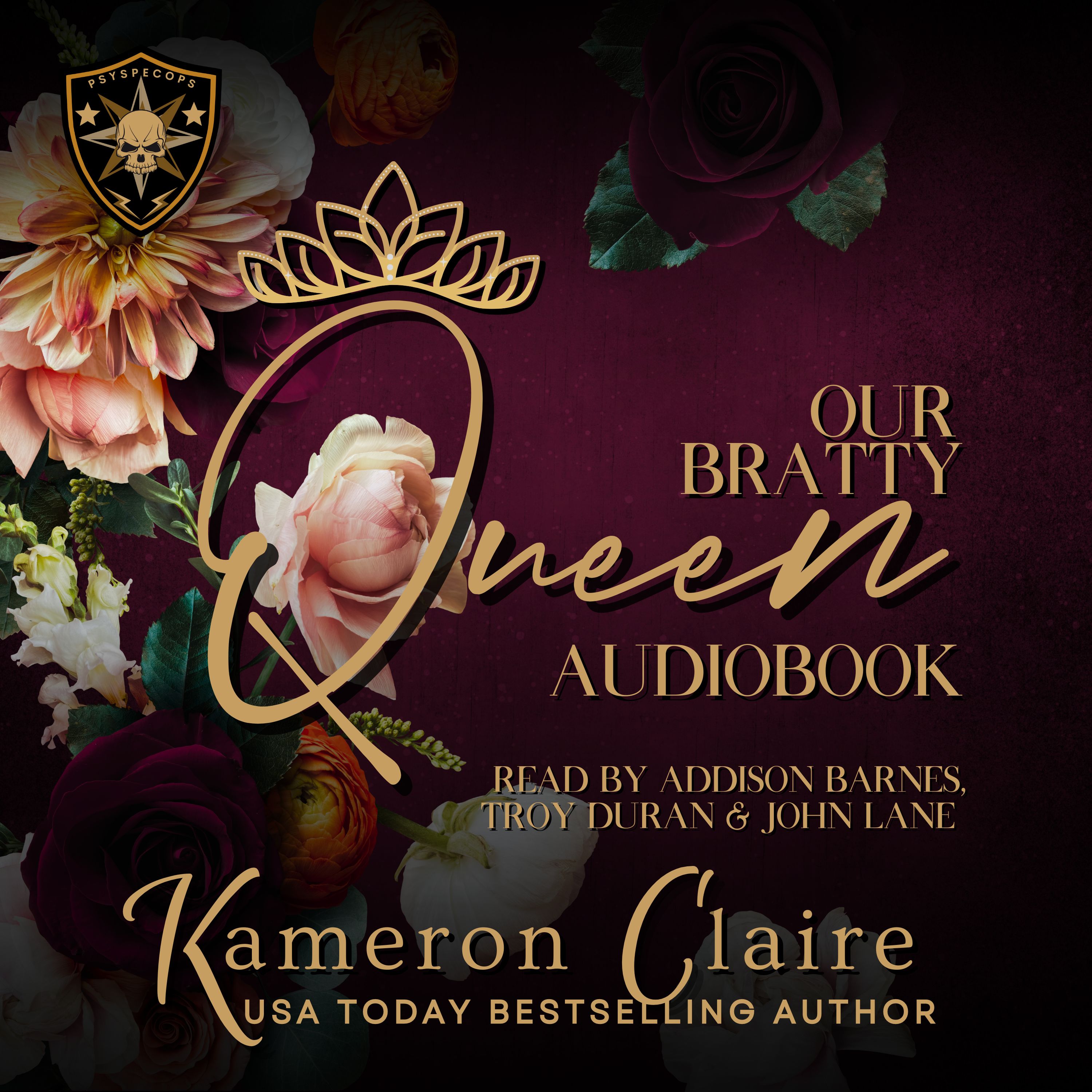 Audiobook sale