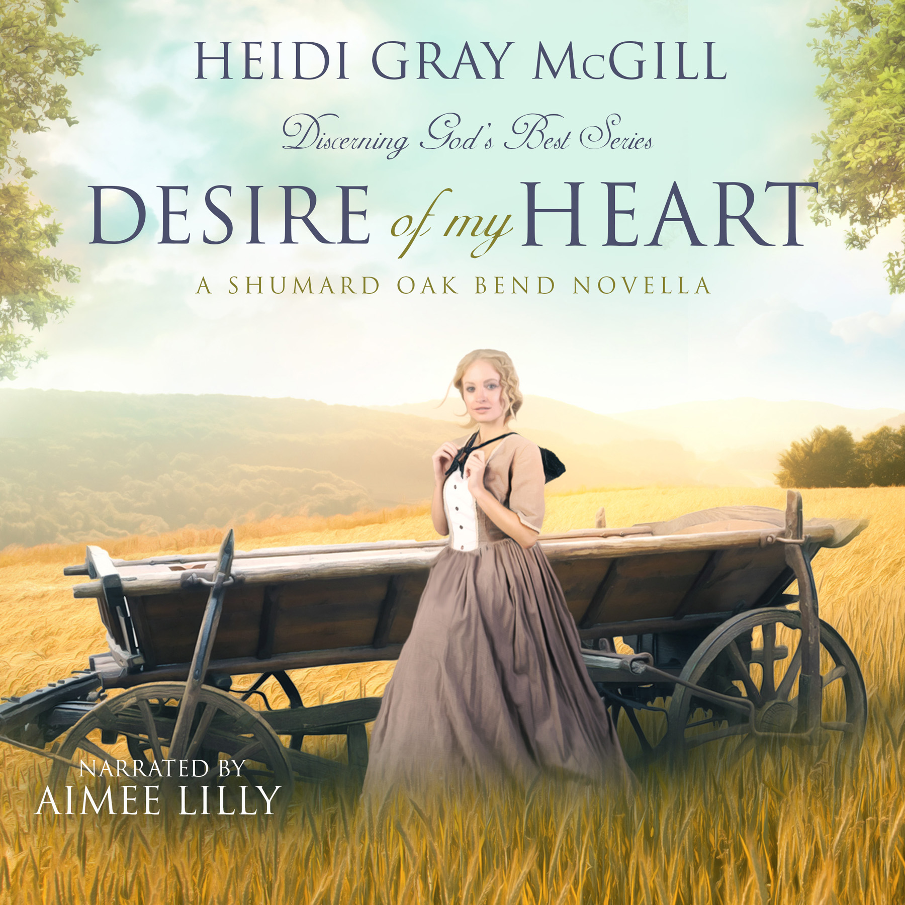 Audiobook sale