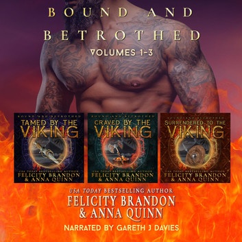 Kobo Plus audiobook sale deal