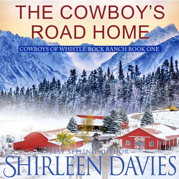 Audiobook sale