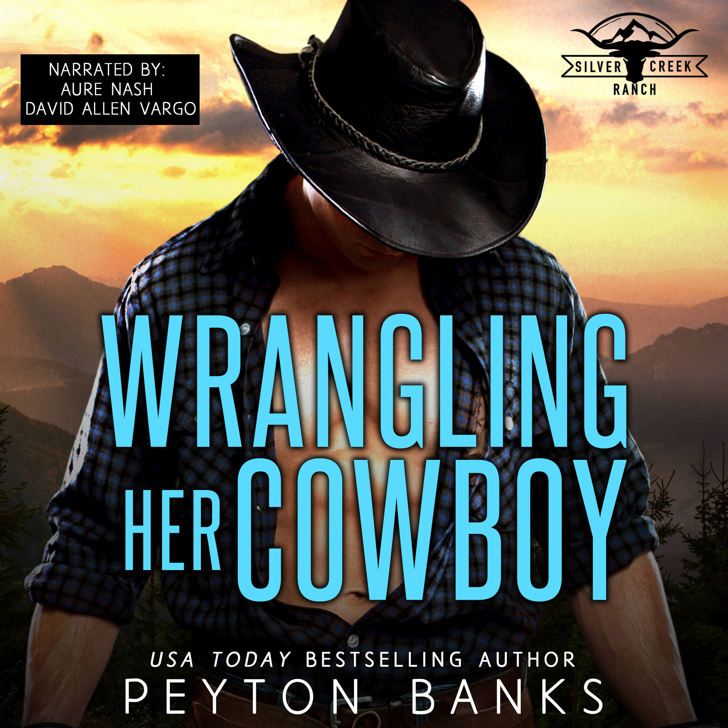 Audiobook sale
