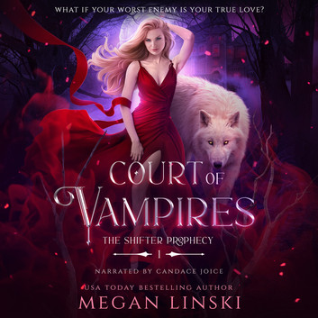 Audiobook sale