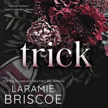 Audiobook sale