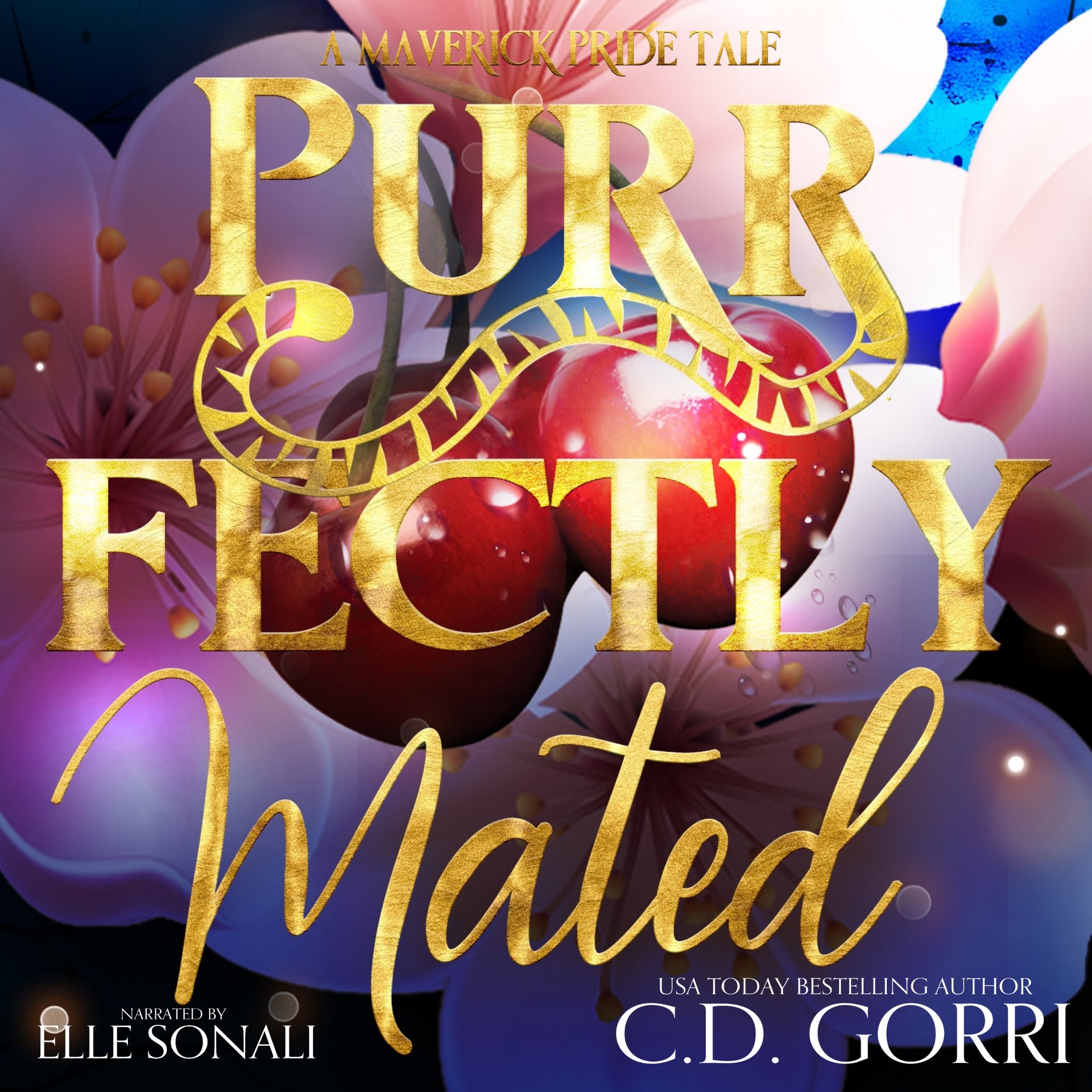 Audiobook sale