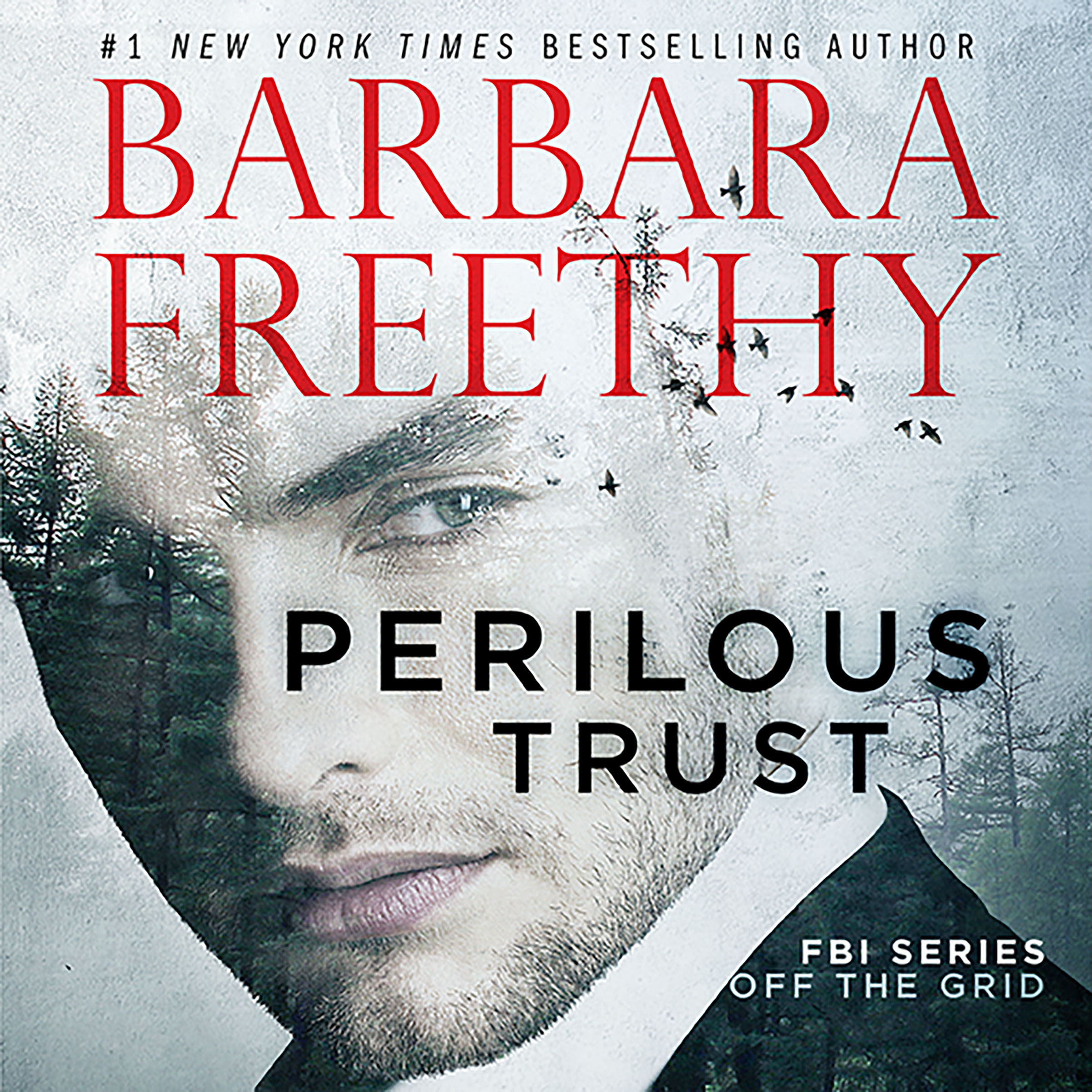 Audiobook sale