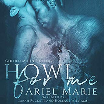 Audiobook sale