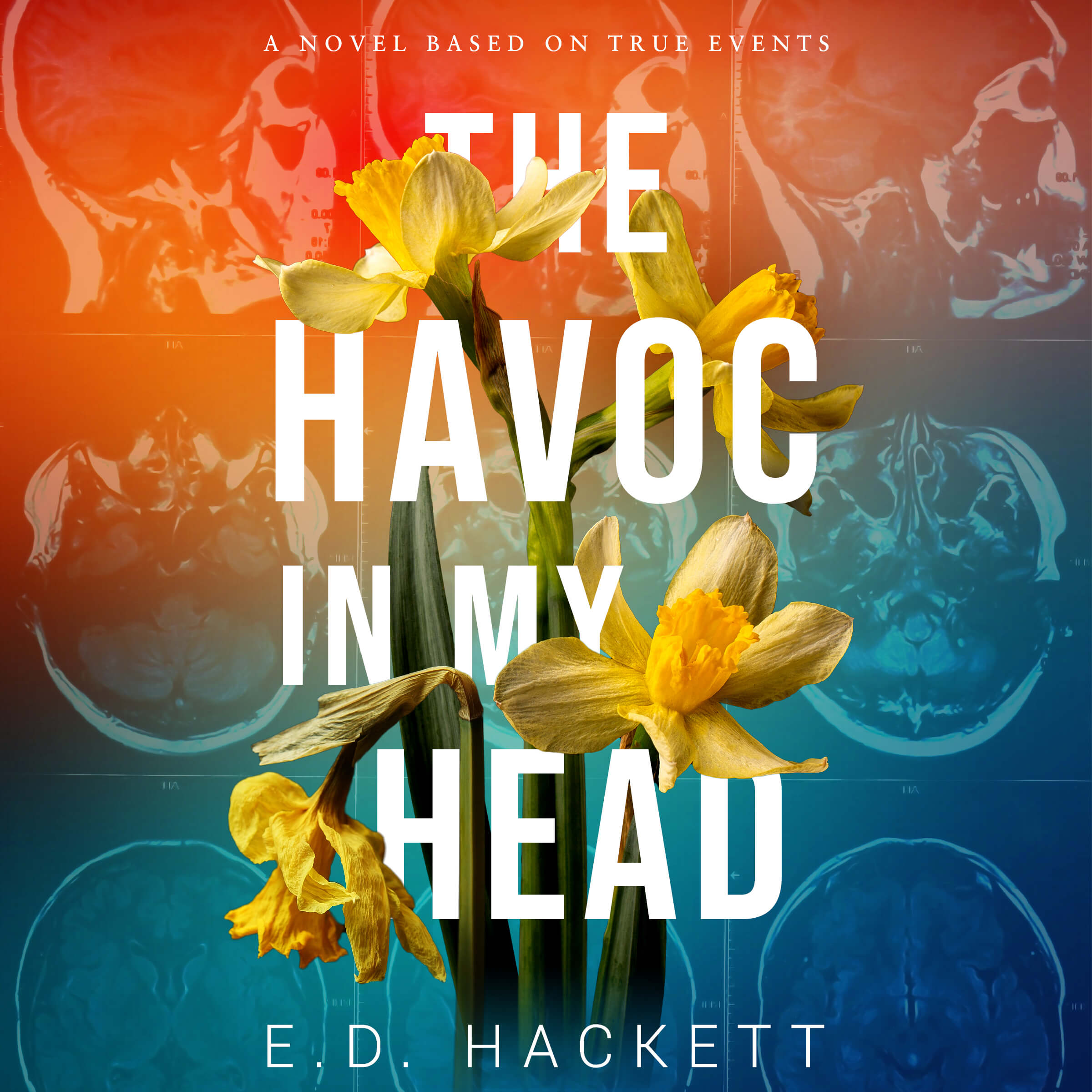 Audiobook sale