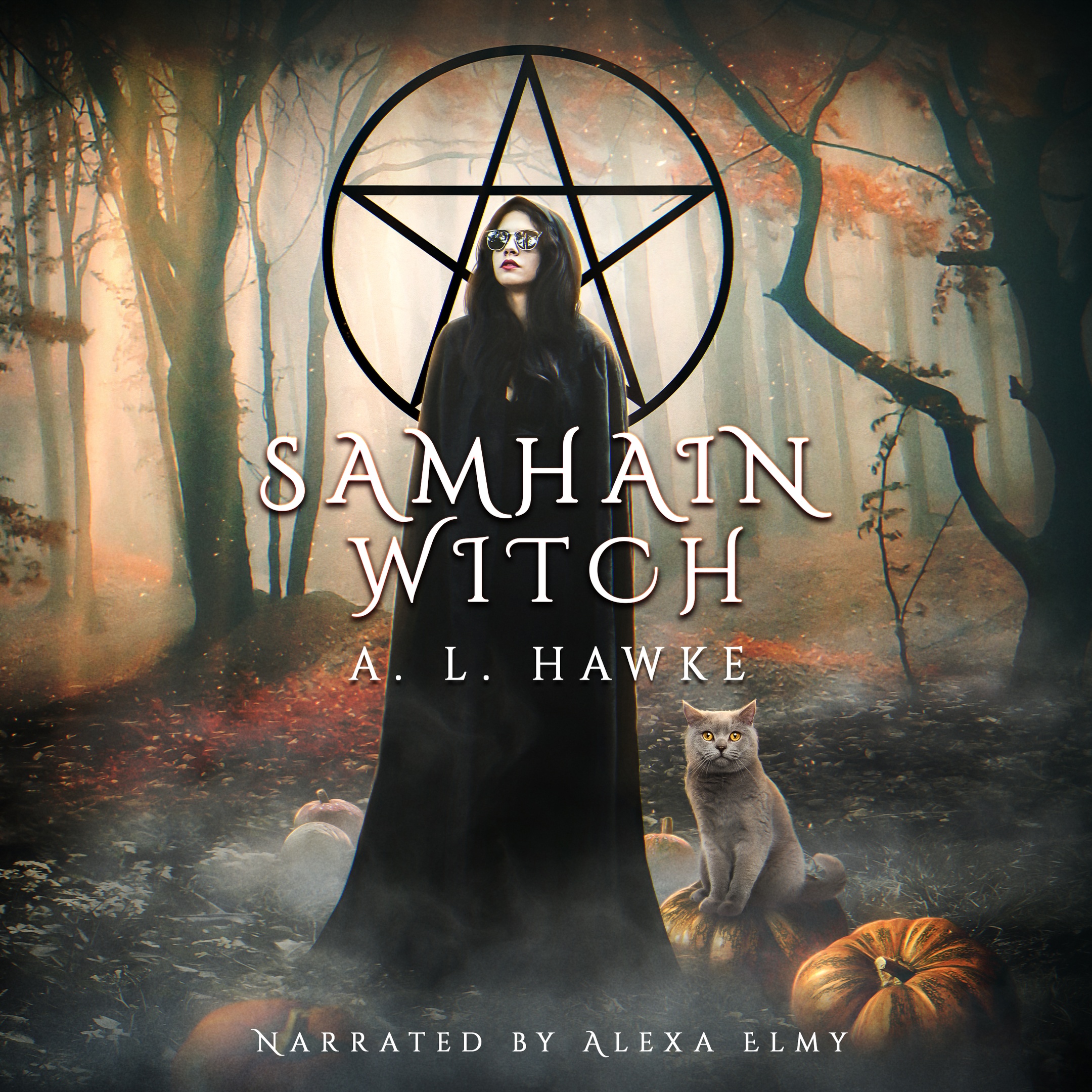 Audiobook sale